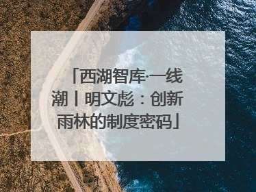 西湖智库·一线潮丨明文彪：创新雨林的制度密码